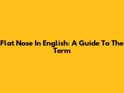 Flat Nose In English: A Guide To The Term