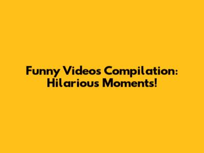Funny Videos Compilation: Hilarious Moments!