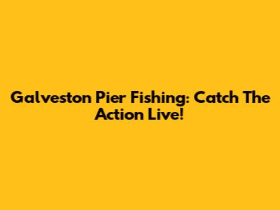 Galveston Pier Fishing: Catch The Action Live!
