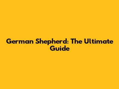 German Shepherd: The Ultimate Guide