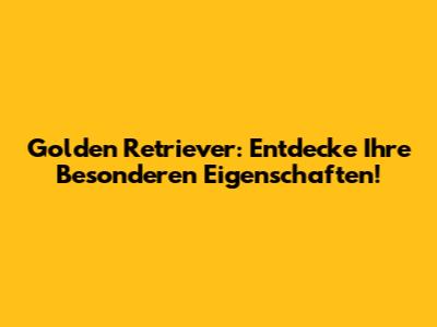 Golden Retriever: Entdecke Ihre Besonderen Eigenschaften!