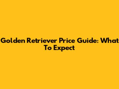 Golden Retriever Price Guide: What To Expect
