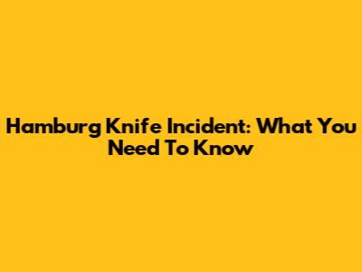 Hamburg Knife Incident: What You Need To Know