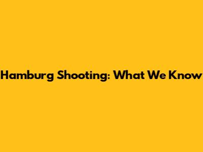 Hamburg Shooting: What We Know