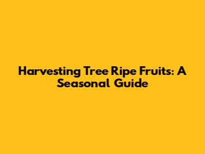 Harvesting Tree Ripe Fruits: A Seasonal Guide
