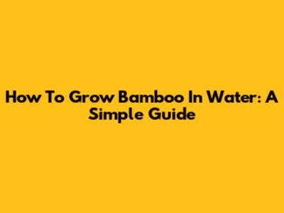 How To Grow Bamboo In Water: A Simple Guide