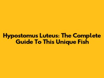 Hypostomus Luteus: The Complete Guide To This Unique Fish