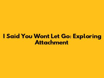I Said You Won't Let Go: Exploring Attachment