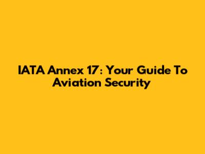 IATA Annex 17: Your Guide To Aviation Security