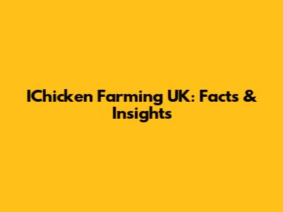 IChicken Farming UK: Facts & Insights