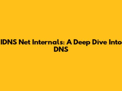 IDNS Net Internals: A Deep Dive Into DNS