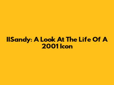 IISandy: A Look At The Life Of A 2001 Icon