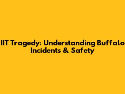 IIT Tragedy: Understanding Buffalo Incidents & Safety
