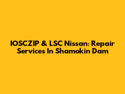 IOSCZIP & LSC Nissan: Repair Services In Shamokin Dam