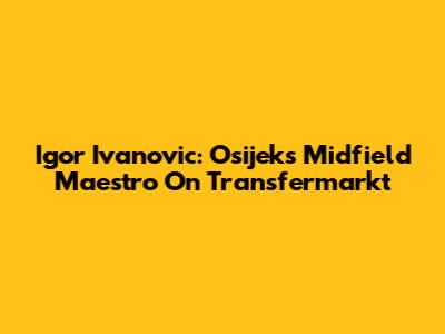 Igor Ivanovic: Osijek's Midfield Maestro On Transfermarkt
