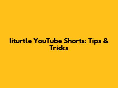 Iiturtle YouTube Shorts: Tips & Tricks