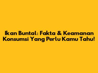 Ikan Buntal: Fakta & Keamanan Konsumsi Yang Perlu Kamu Tahu!