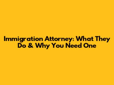 Immigration Attorney: What They Do & Why You Need One