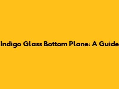 Indigo Glass Bottom Plane: A Guide