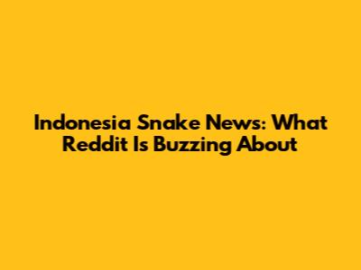 Indonesia Snake News: What Reddit Is Buzzing About
