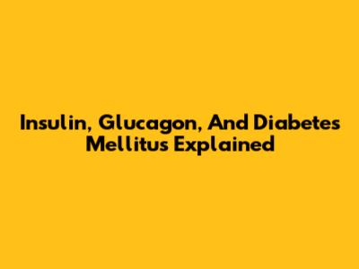 Insulin, Glucagon, And Diabetes Mellitus Explained
