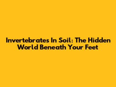 Invertebrates In Soil: The Hidden World Beneath Your Feet