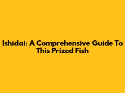 Ishidai: A Comprehensive Guide To This Prized Fish