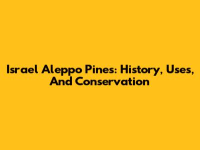 Israel Aleppo Pines: History, Uses, And Conservation