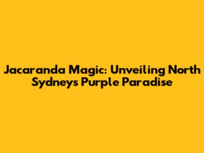 Jacaranda Magic: Unveiling North Sydney's Purple Paradise