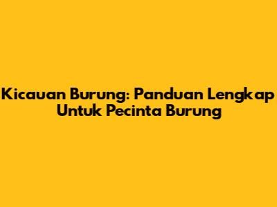 Kicauan Burung: Panduan Lengkap Untuk Pecinta Burung