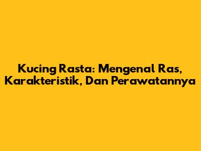 Kucing Rasta: Mengenal Ras, Karakteristik, Dan Perawatannya