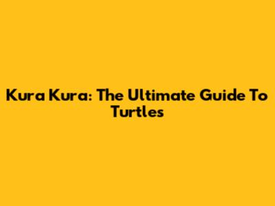 Kura Kura: The Ultimate Guide To Turtles