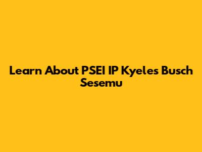 Learn About PSEI IP Kyeles Busch Sesemu