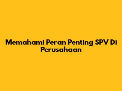 Memahami Peran Penting SPV Di Perusahaan