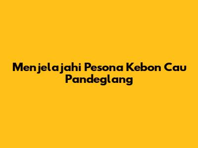 Menjelajahi Pesona Kebon Cau Pandeglang