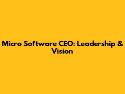 Micro Software CEO: Leadership & Vision
