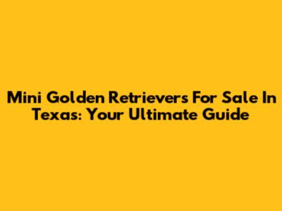 Mini Golden Retrievers For Sale In Texas: Your Ultimate Guide