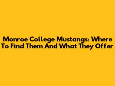 Monroe College Mustangs: Where To Find Them And What They Offer