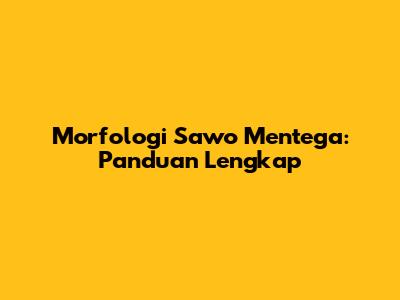 Morfologi Sawo Mentega: Panduan Lengkap