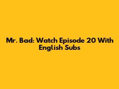 Mr. Bad: Watch Episode 20 With English Subs