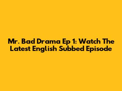 Mr. Bad Drama Ep 1: Watch The Latest English Subbed Episode