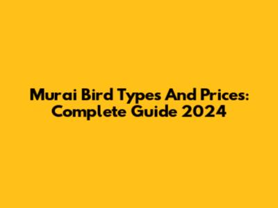 Murai Bird Types And Prices: Complete Guide 2024