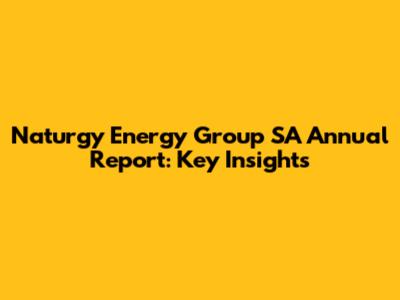 Naturgy Energy Group SA Annual Report: Key Insights