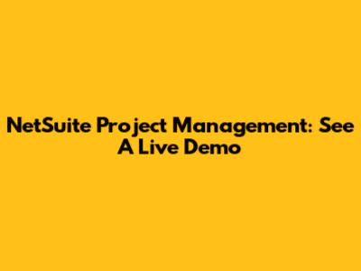NetSuite Project Management: See A Live Demo
