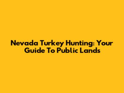 Nevada Turkey Hunting: Your Guide To Public Lands