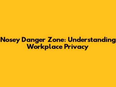 Nosey Danger Zone: Understanding Workplace Privacy