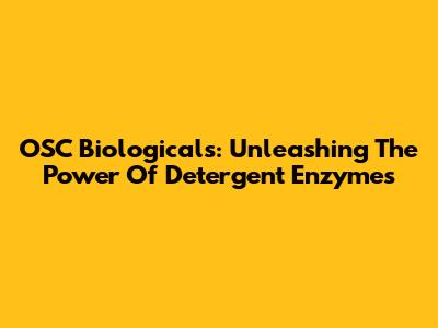 OSC Biologicals: Unleashing The Power Of Detergent Enzymes