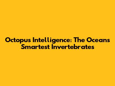 Octopus Intelligence: The Ocean's Smartest Invertebrates