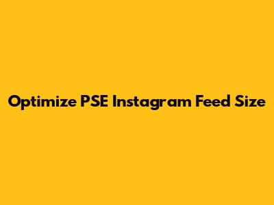Optimize PSE Instagram Feed Size
