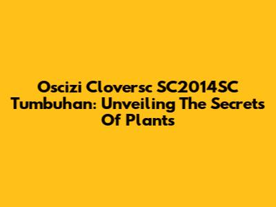 Oscizi Cloversc SC2014SC Tumbuhan: Unveiling The Secrets Of Plants
